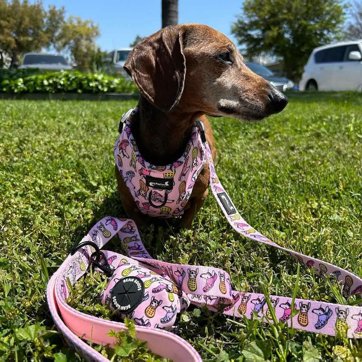 adjustable harness - crocs to my dox