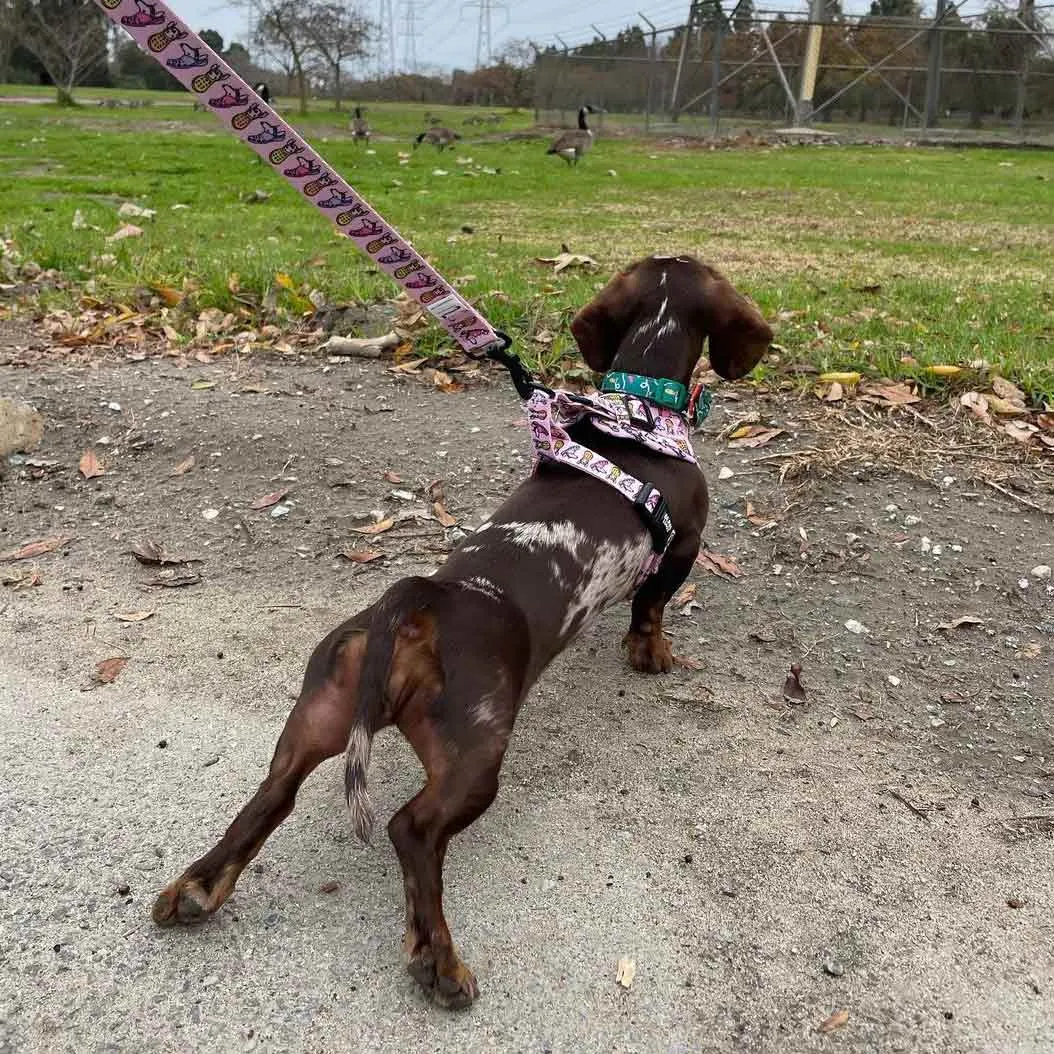 adjustable harness - crocs to my dox