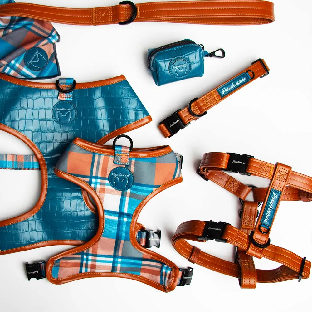 Adjustable Pet Health Strap Harness | Sprung