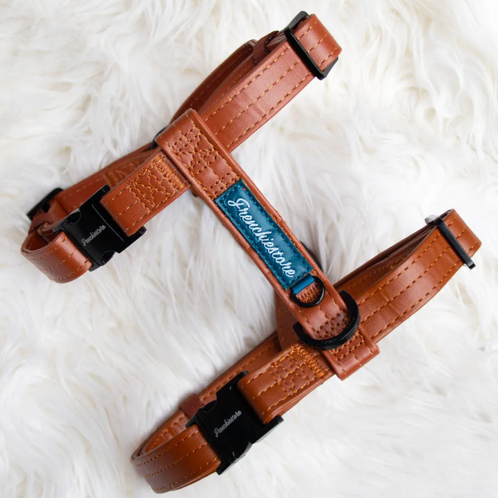 Adjustable Pet Health Strap Harness | Sprung