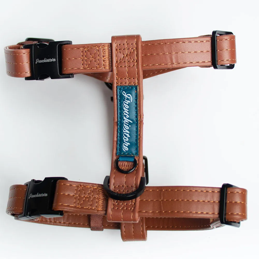 Adjustable Pet Health Strap Harness | Sprung