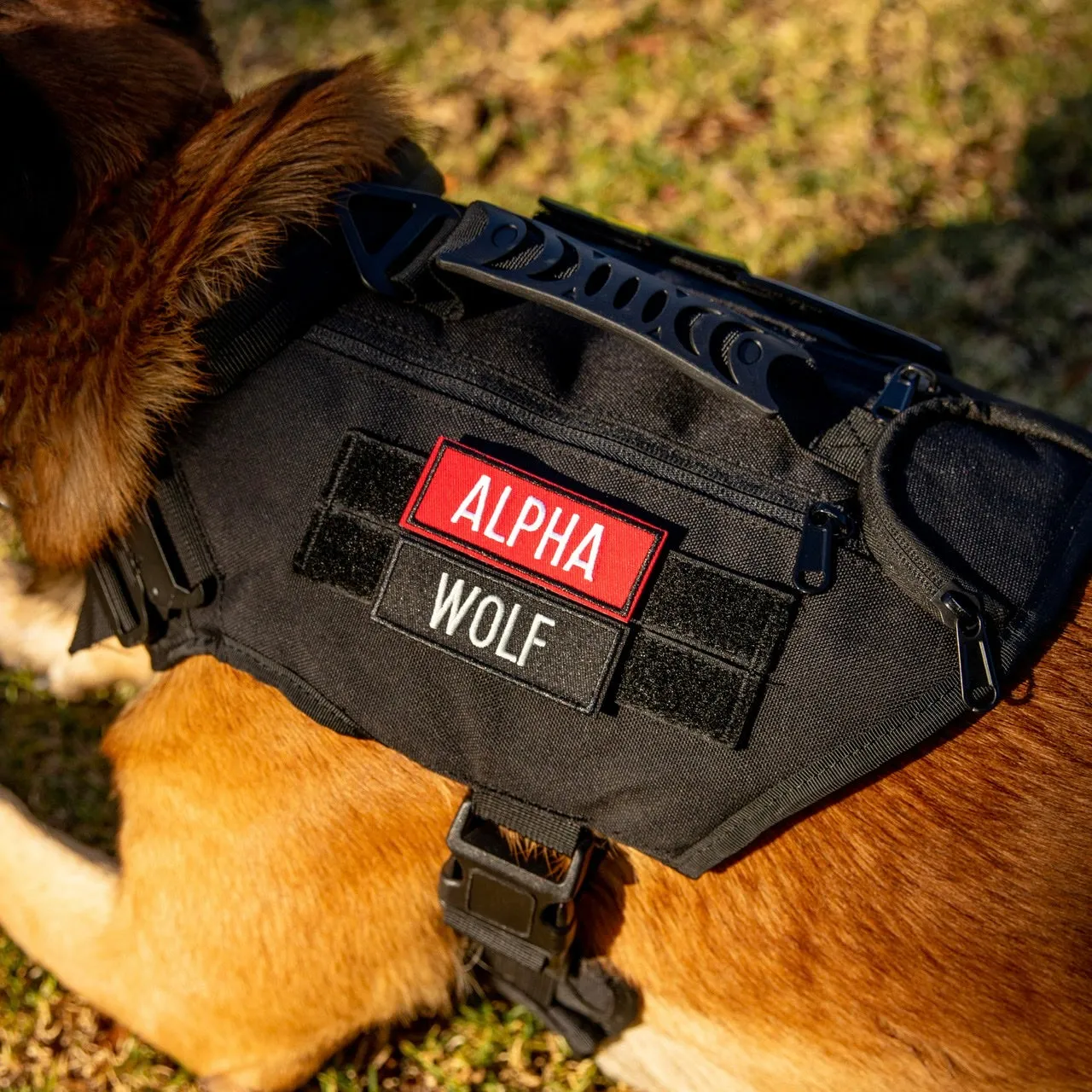 Alpha Black Tactical Dog Vest Harness