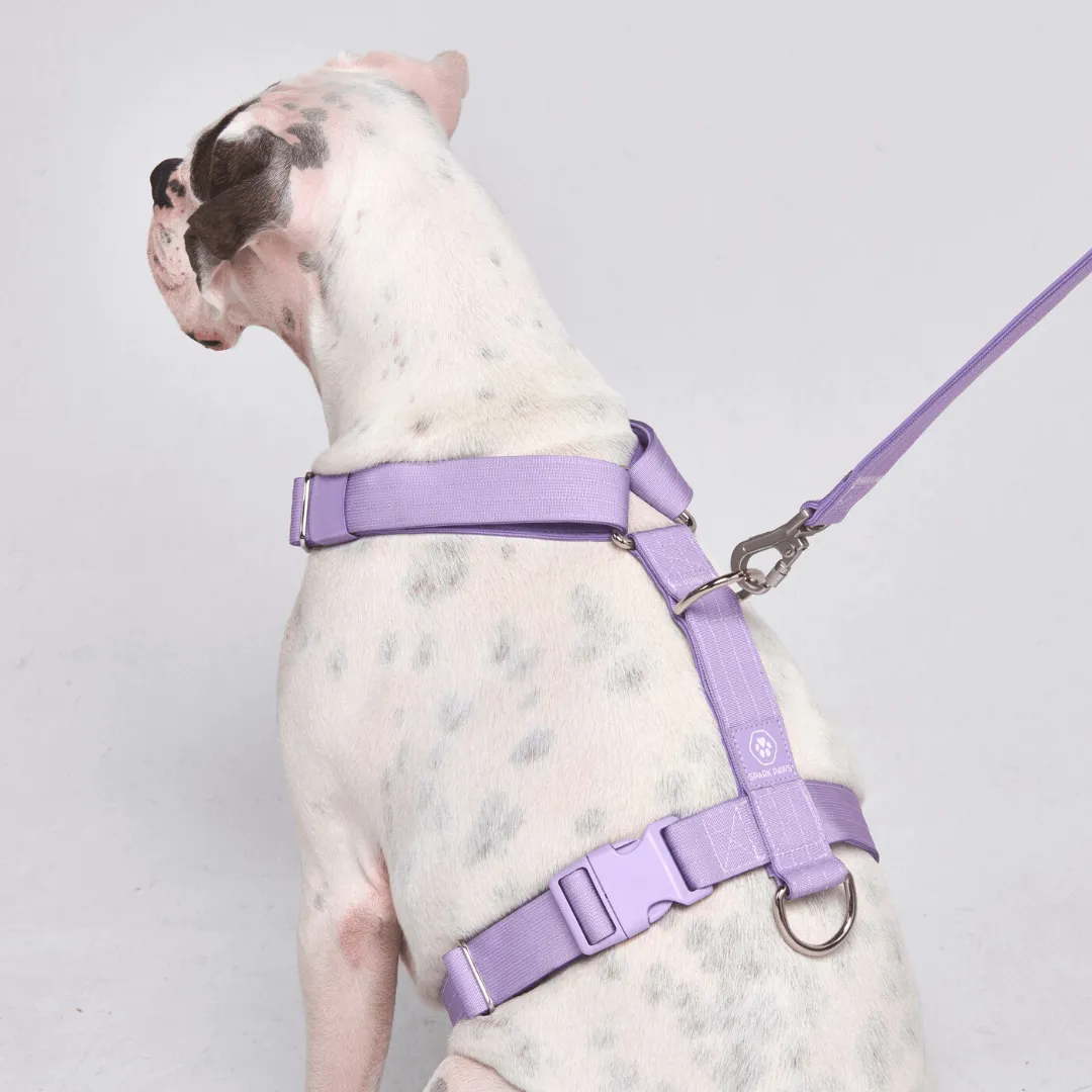 Comfort Control No-Pull Dog Harness Set - Lilac