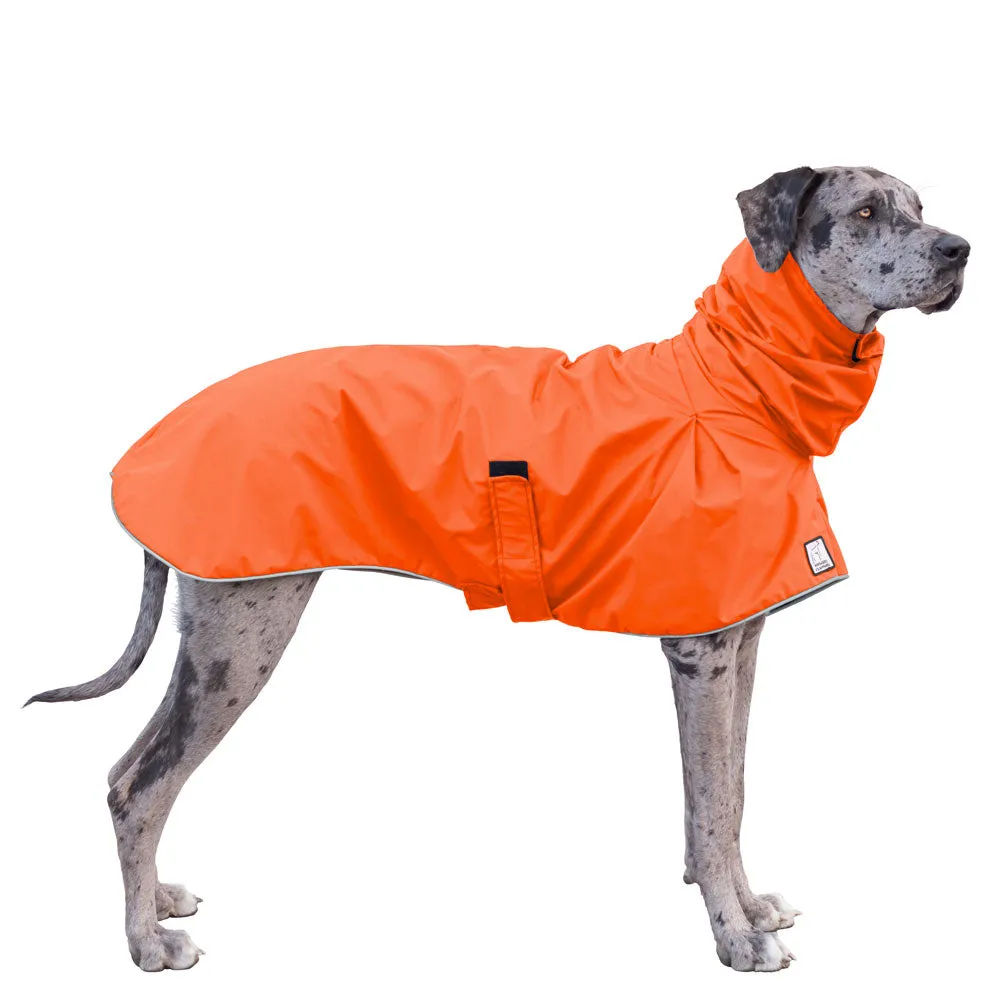 Great Dane Raincoat