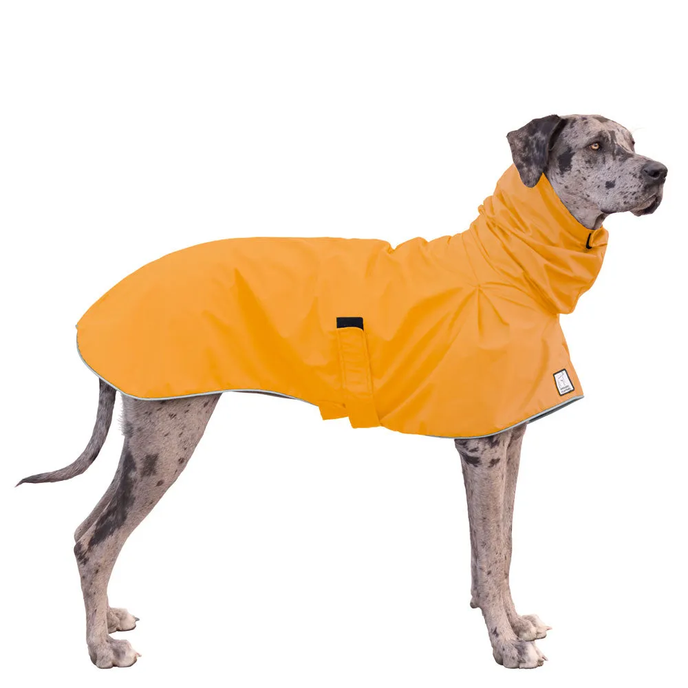 Great Dane Raincoat