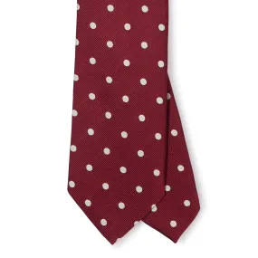 Silk Polka Dot Embroidered Tipped Tie