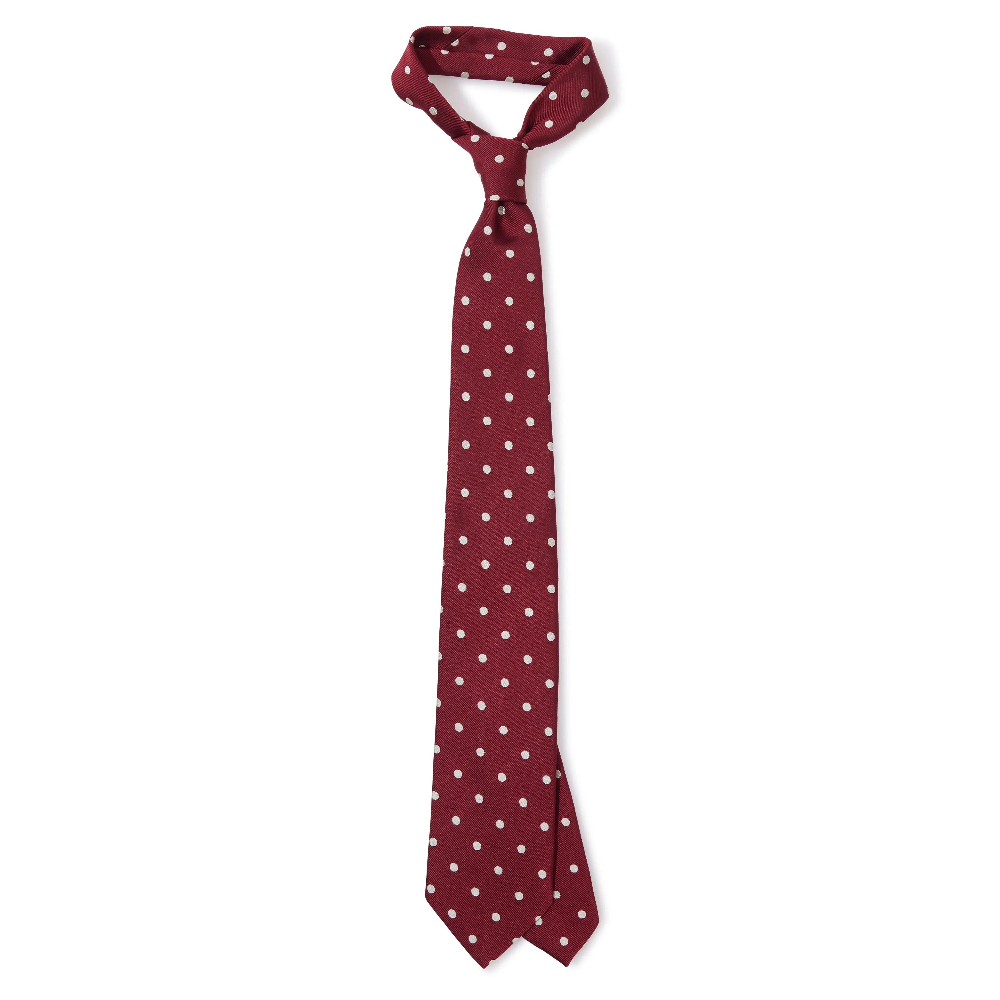 Silk Polka Dot Embroidered Tipped Tie