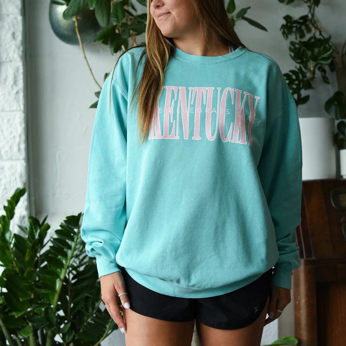 The Bluegrass State 90's Pastel Crewneck Sweatshirt