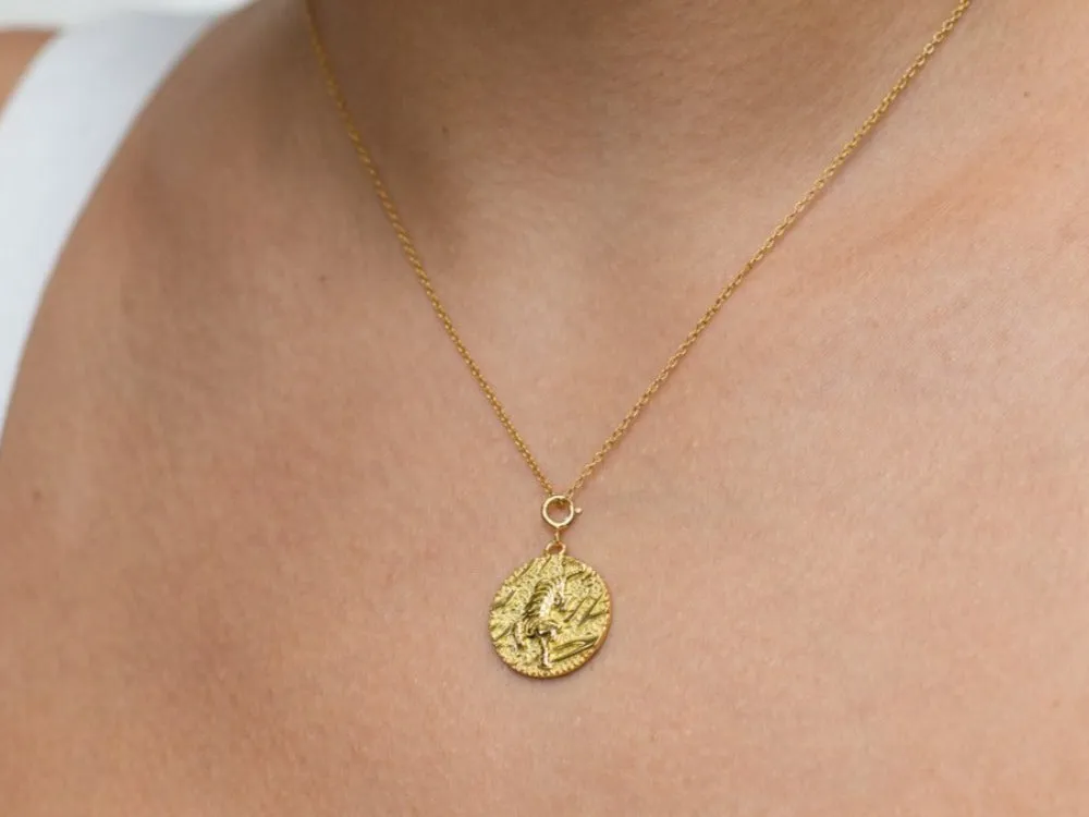 Tiger Coin Necklace