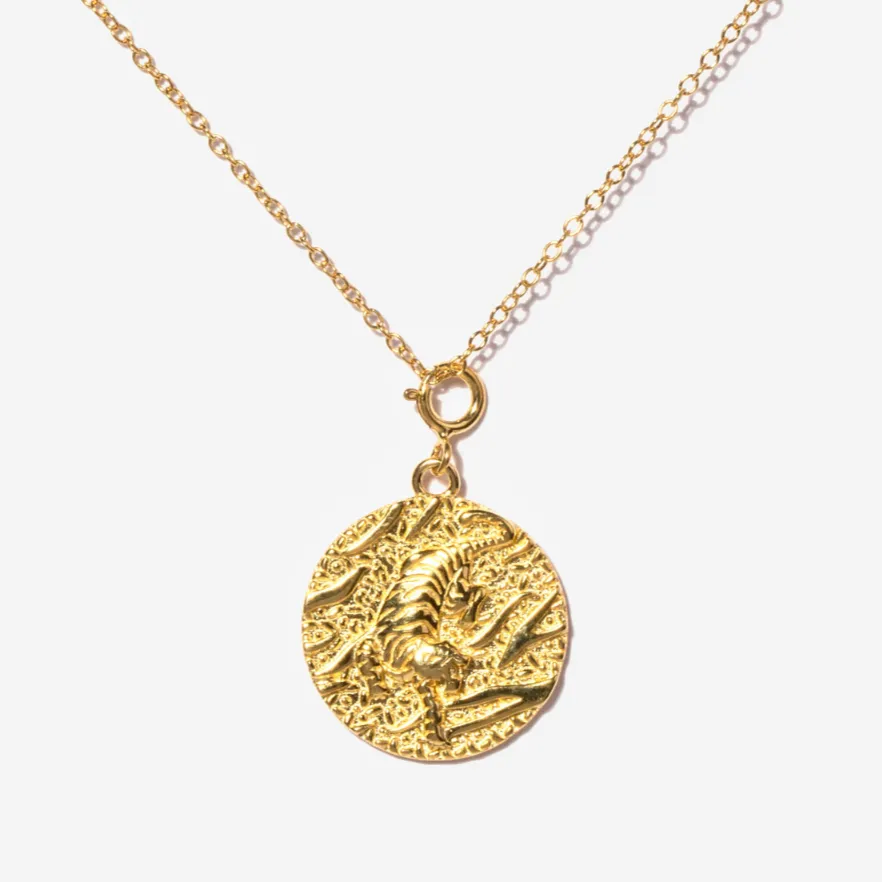 Tiger Coin Necklace